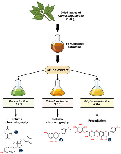 PMC12908889 – cbdv71001-fig-0001