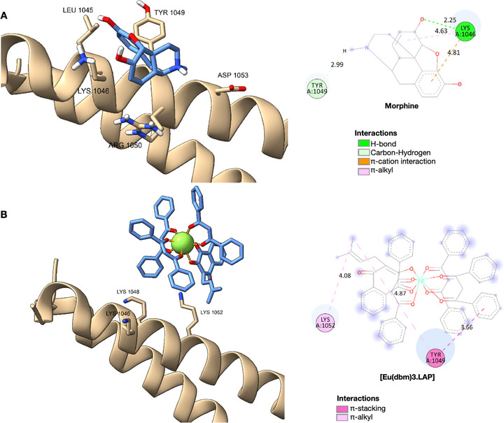 PMC13019007 – cbdv71141-fig-0006