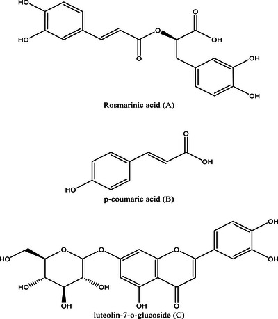 PMC13066725 – cbdv71190-fig-0001
