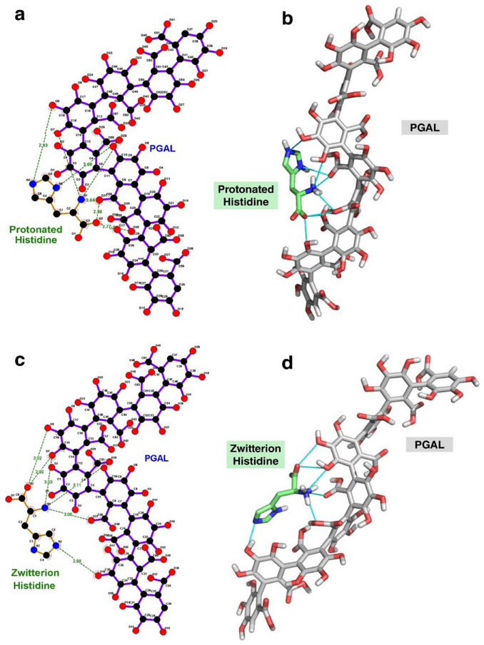 PMC13112469 – cbdv71266-fig-0002