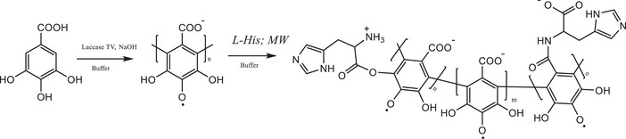 PMC13112469 – cbdv71266-fig-0001