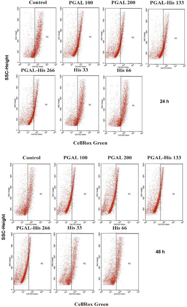 PMC13112469 – cbdv71266-fig-0005