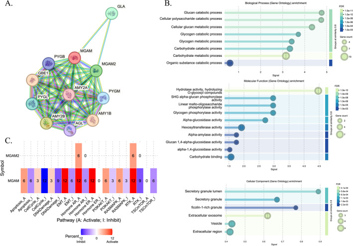 PMC12381534 – ccs370042-fig-0002