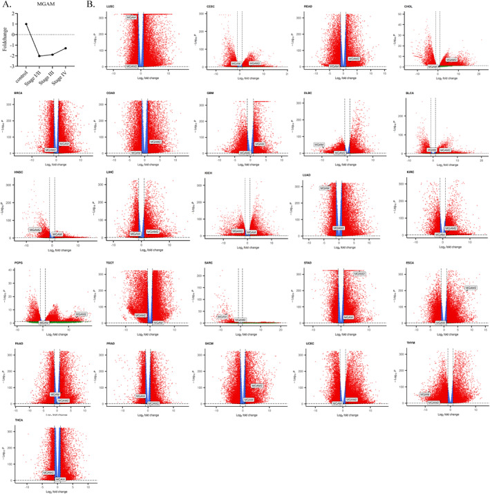 PMC12381534 – ccs370042-fig-0001