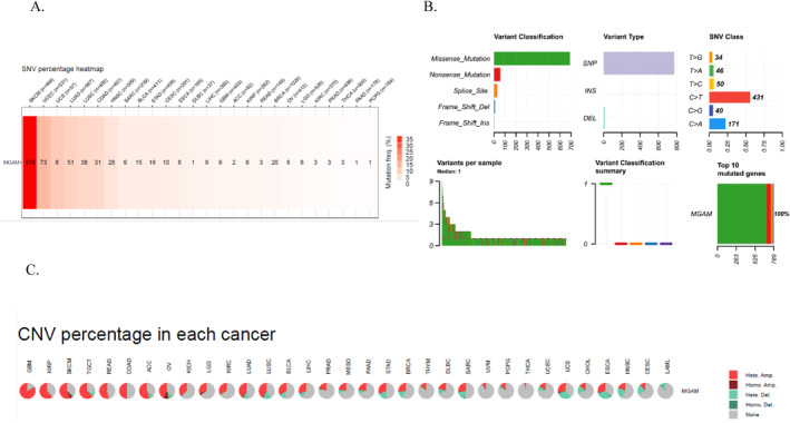 PMC12381534 – ccs370042-fig-0003