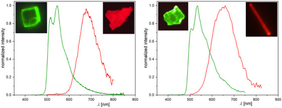 PMC12188160 – chem202404115-fig-0013