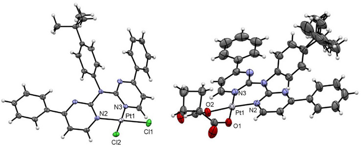 PMC12188160 – chem202404115-fig-0007