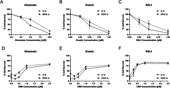 PMC12160979 – chem202501143-fig-0006