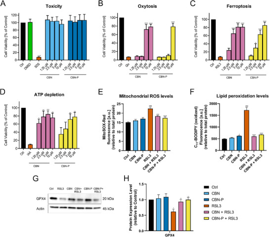 PMC12160979 – chem202501143-fig-0001