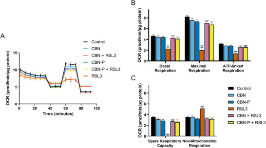 PMC12160979 – chem202501143-fig-0002