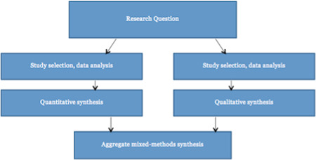PMC8356512 – cl21015-fig-0003