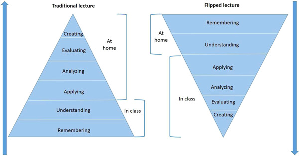PMC8356498 – cl21041-fig-0001