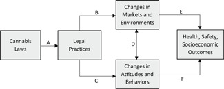 PMC8356275 – cl21137-fig-0001