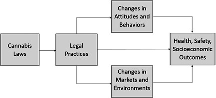 PMC10616541 – cl21362-fig-0001