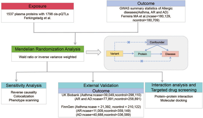 PMC10994001 – clt212350-fig-0001