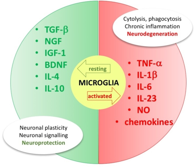 PMC12621543 – cmdc202400672-fig-0002