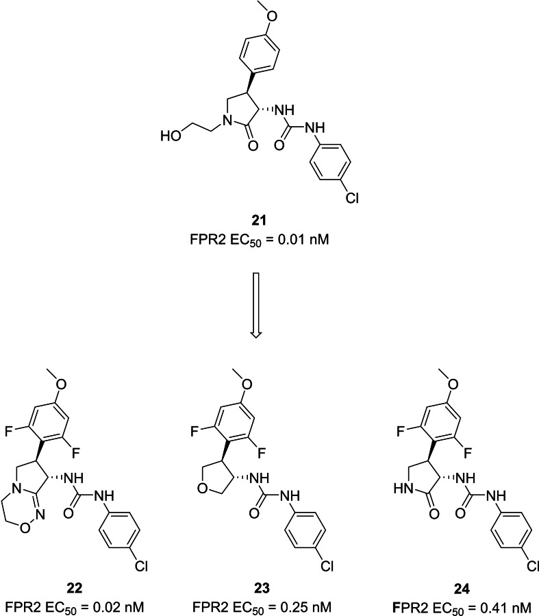 PMC12621543 – cmdc202400672-fig-0009