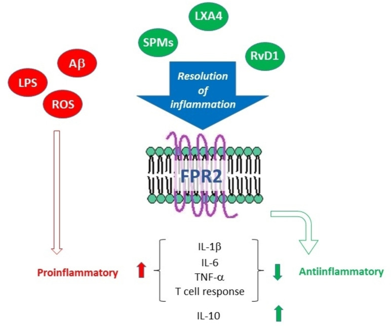 PMC12621543 – cmdc202400672-fig-0006