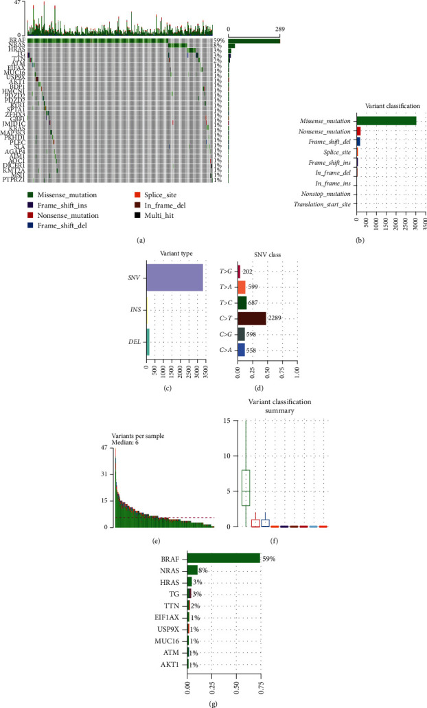 PMC8538398 – fig1