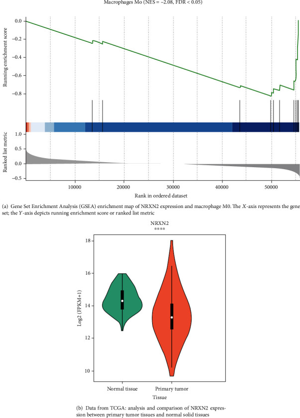 PMC8580640 – fig1