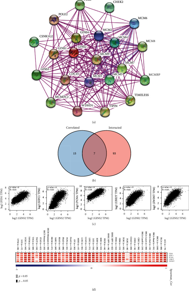 PMC9711967 – fig10