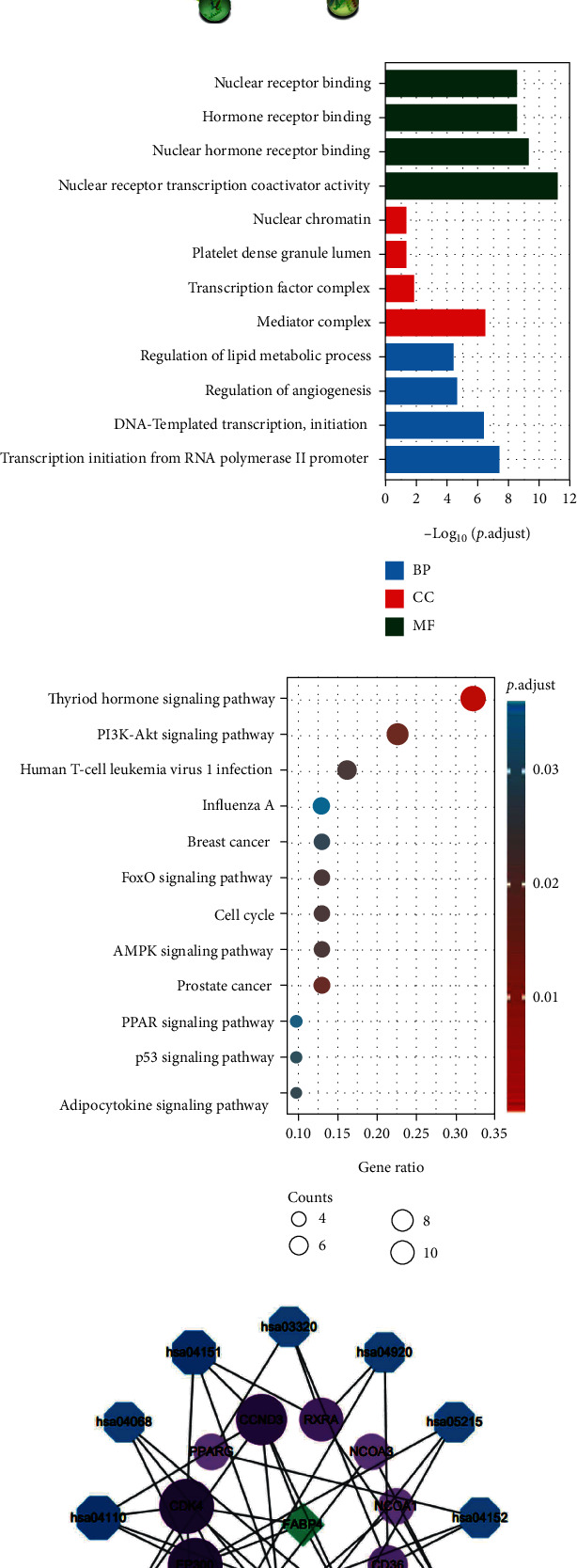 PMC9754845 – fig5