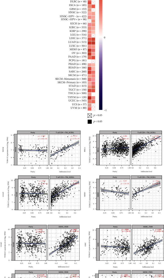 PMC9713470 – fig12
