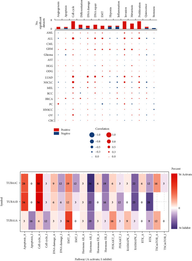 PMC9713470 – fig13