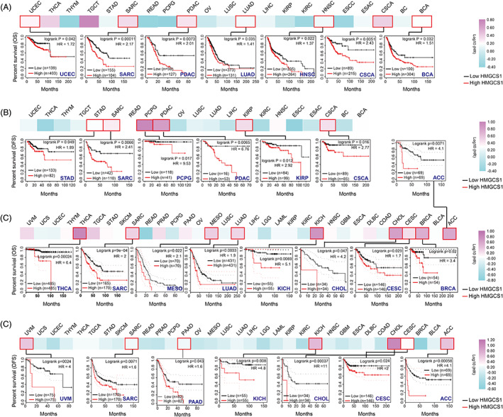 PMC9458500 – cnr21562-fig-0002