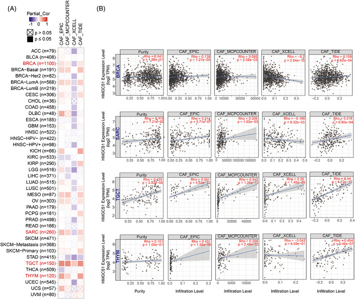 PMC9458500 – cnr21562-fig-0003