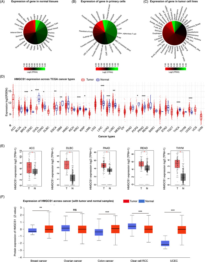 PMC9458500 – cnr21562-fig-0001