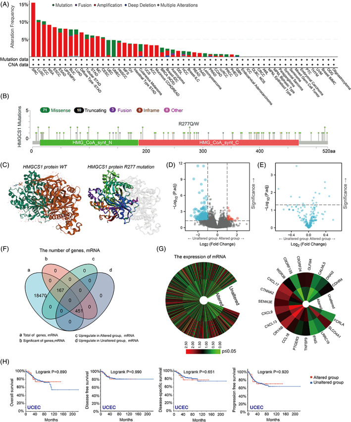 PMC9458500 – cnr21562-fig-0004