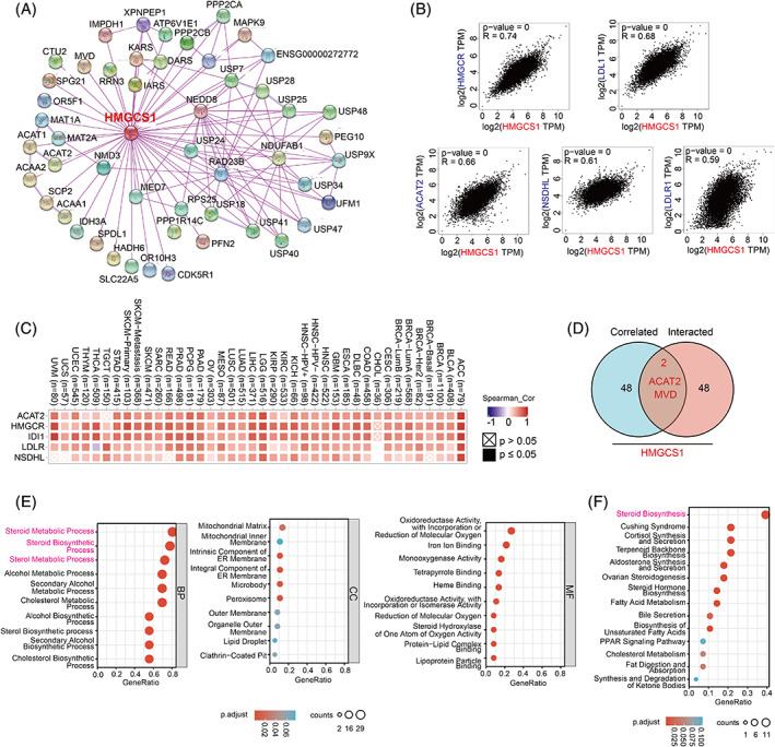 PMC9458500 – cnr21562-fig-0005