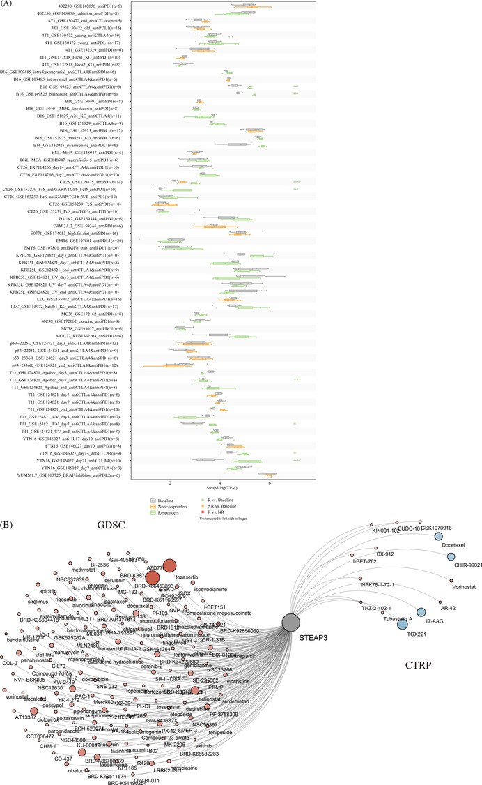 PMC10432435 – cnr21824-fig-0005