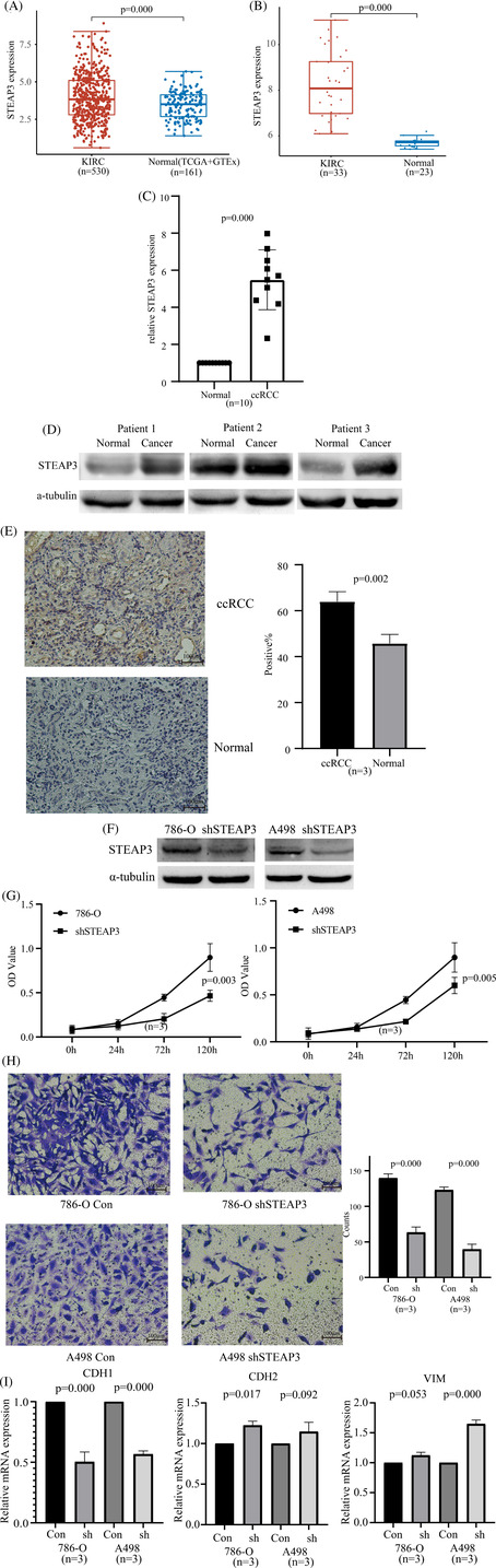 PMC10432435 – cnr21824-fig-0007