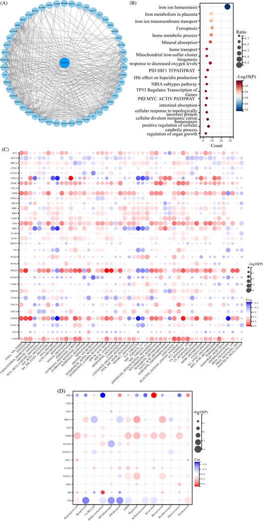 PMC10432435 – cnr21824-fig-0006
