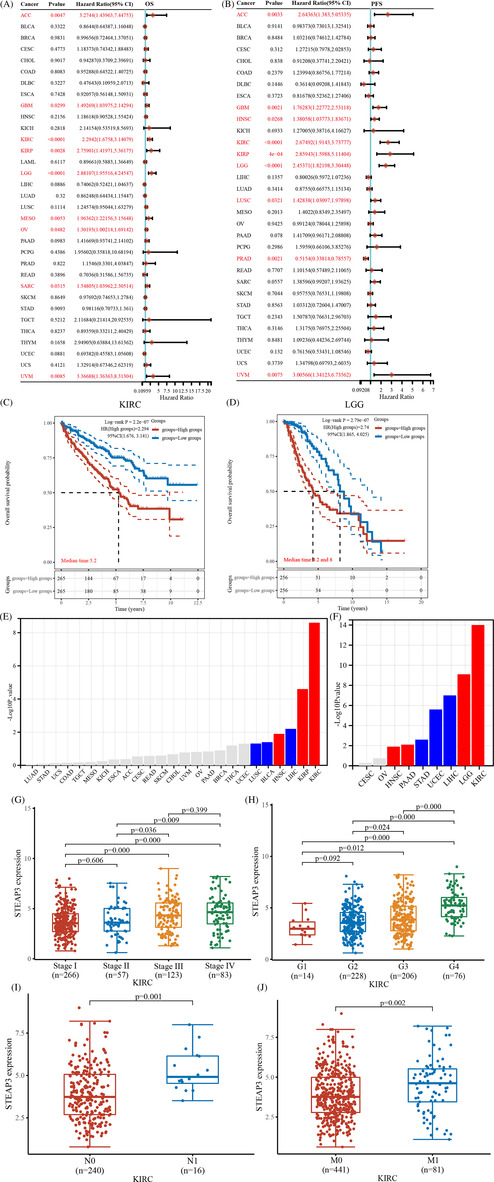 PMC10432435 – cnr21824-fig-0002
