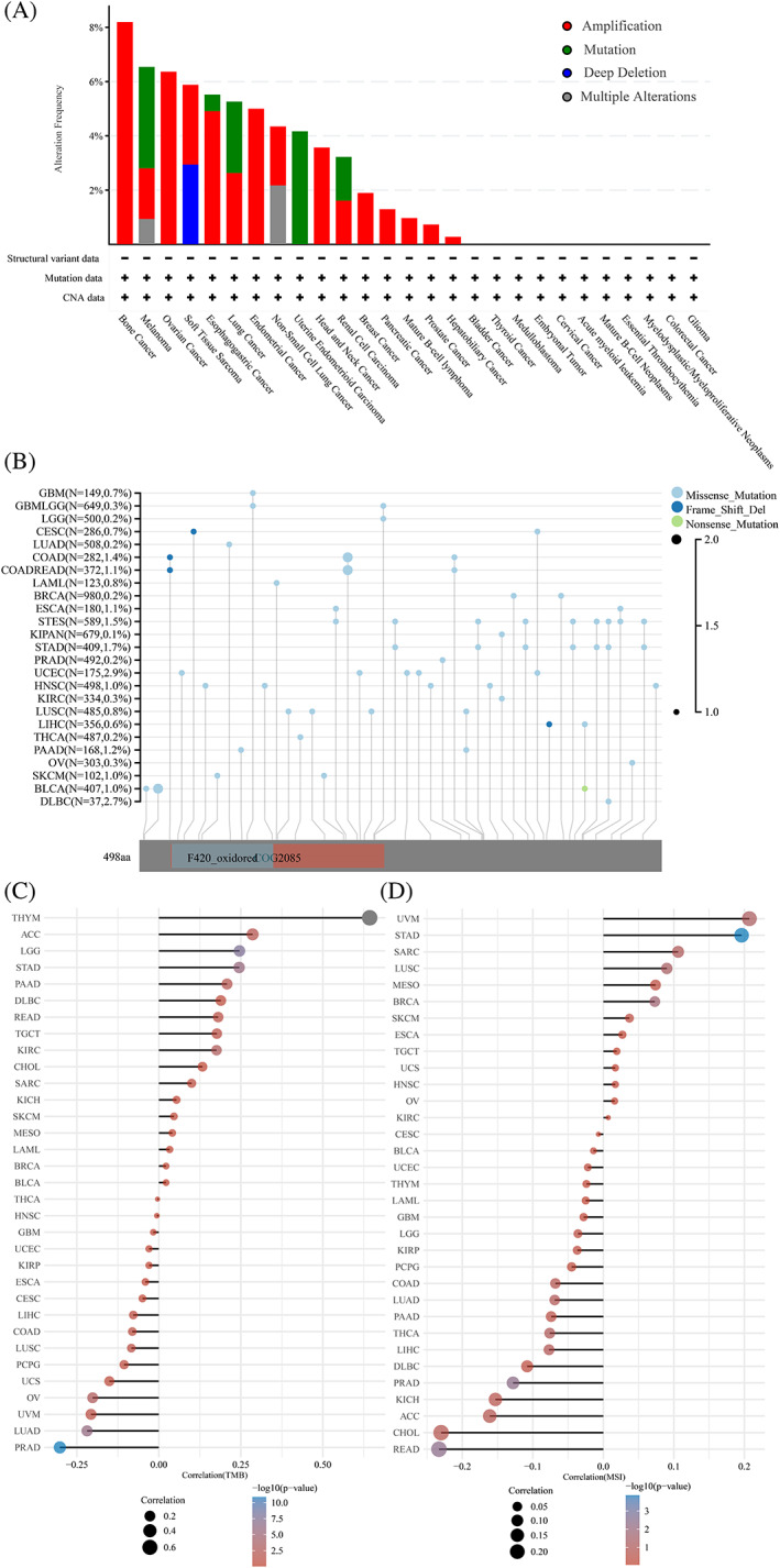 PMC10432435 – cnr21824-fig-0003
