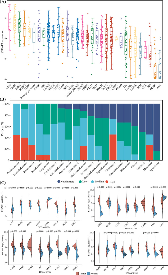 PMC10432435 – cnr21824-fig-0001