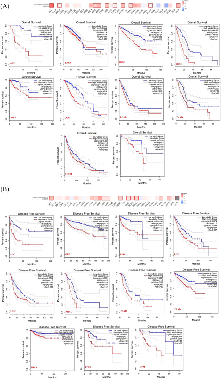 PMC10995712 – cnr22032-fig-0003