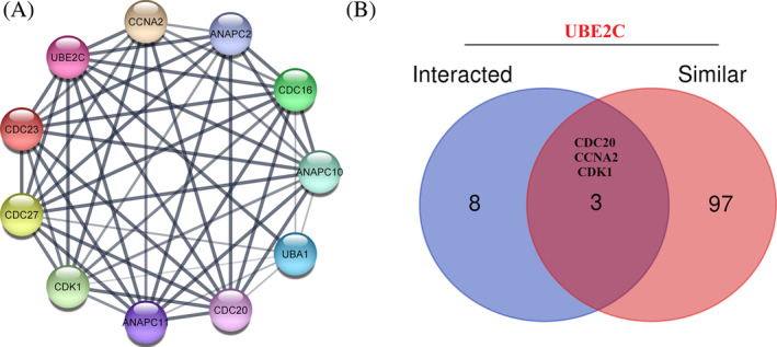 PMC10995712 – cnr22032-fig-0004