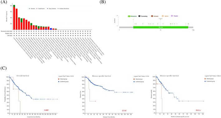 PMC10995712 – cnr22032-fig-0005