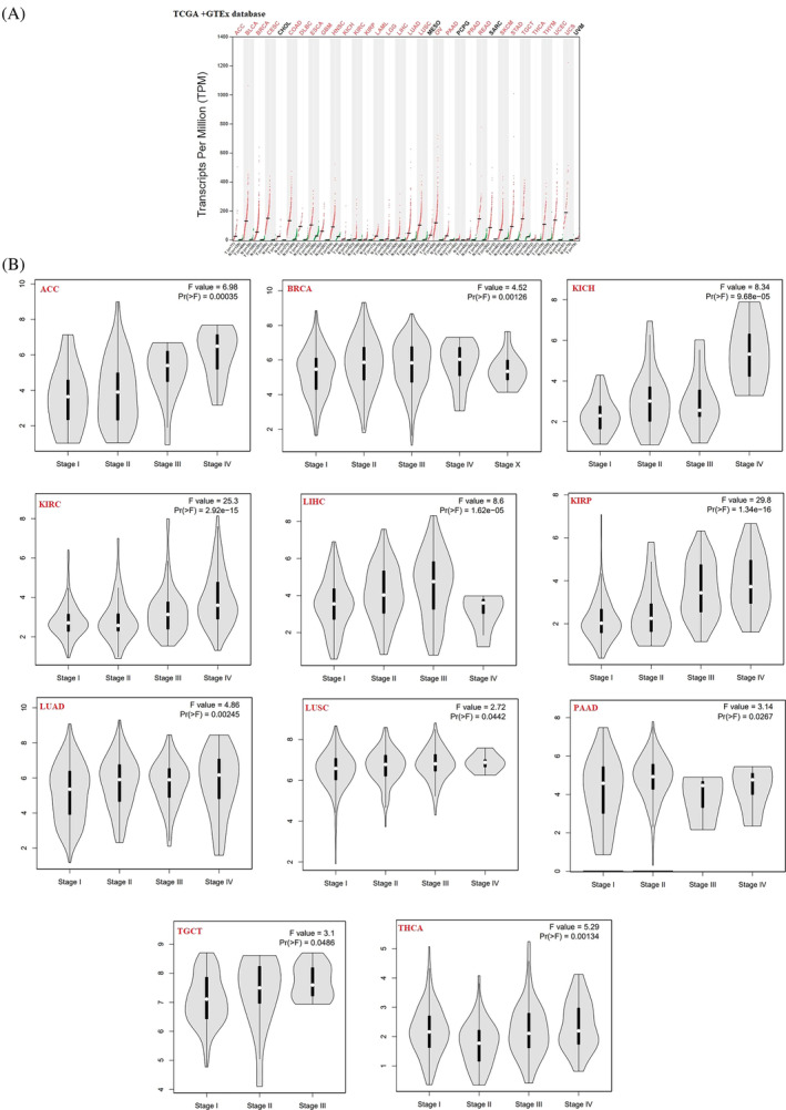 PMC10995712 – cnr22032-fig-0002