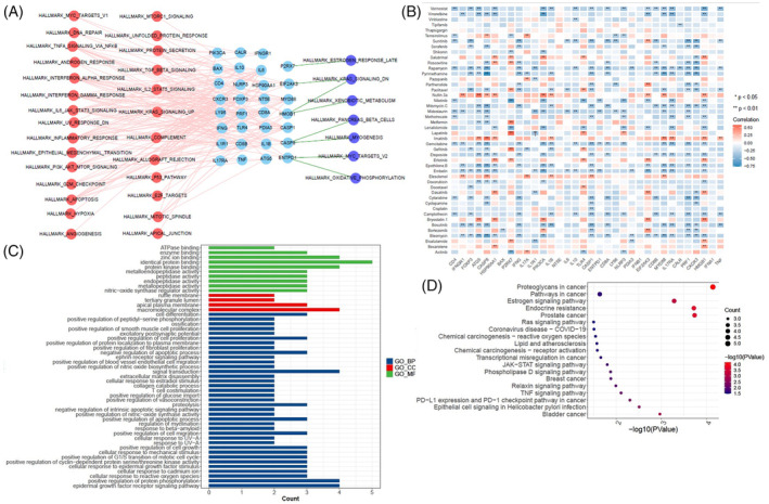 PMC11021686 – cnr22073-fig-0002