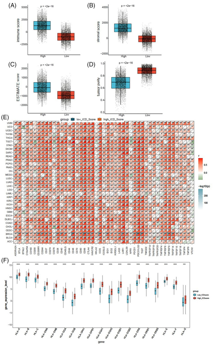 PMC11021686 – cnr22073-fig-0006