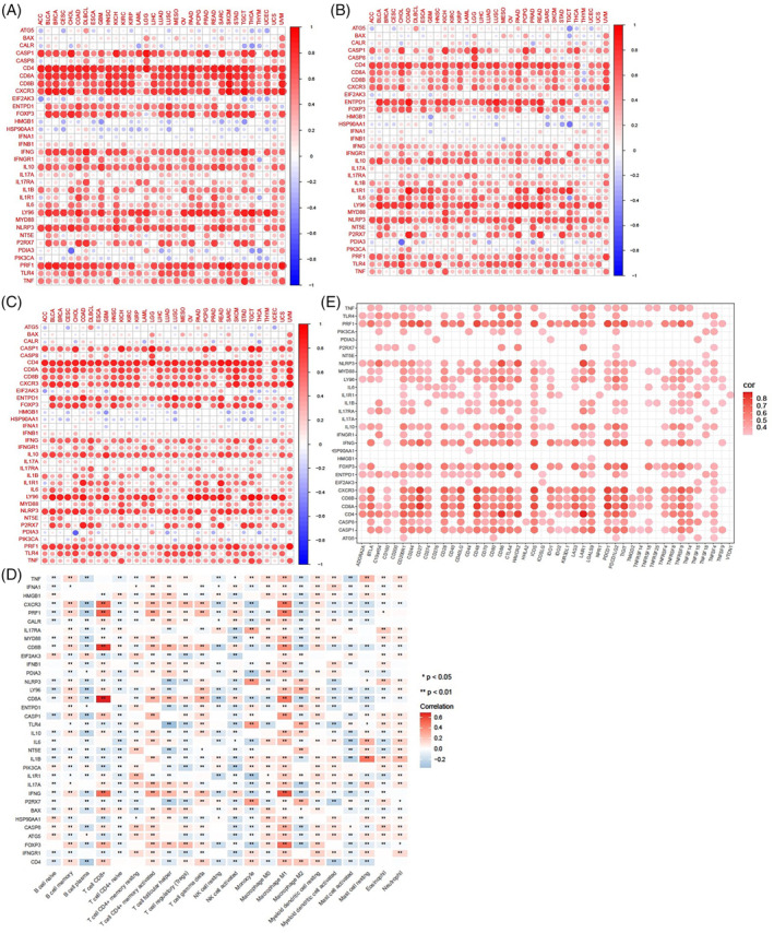 PMC11021686 – cnr22073-fig-0003
