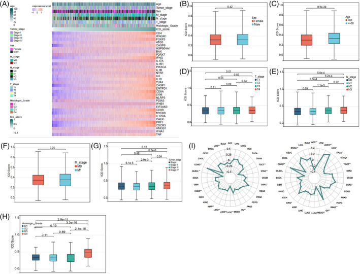 PMC11021686 – cnr22073-fig-0005