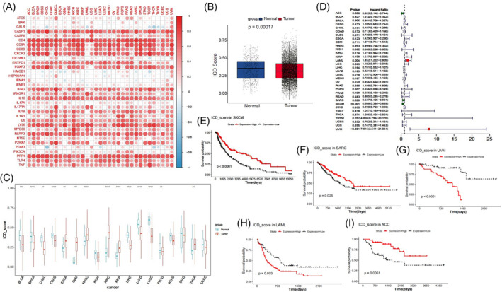 PMC11021686 – cnr22073-fig-0004