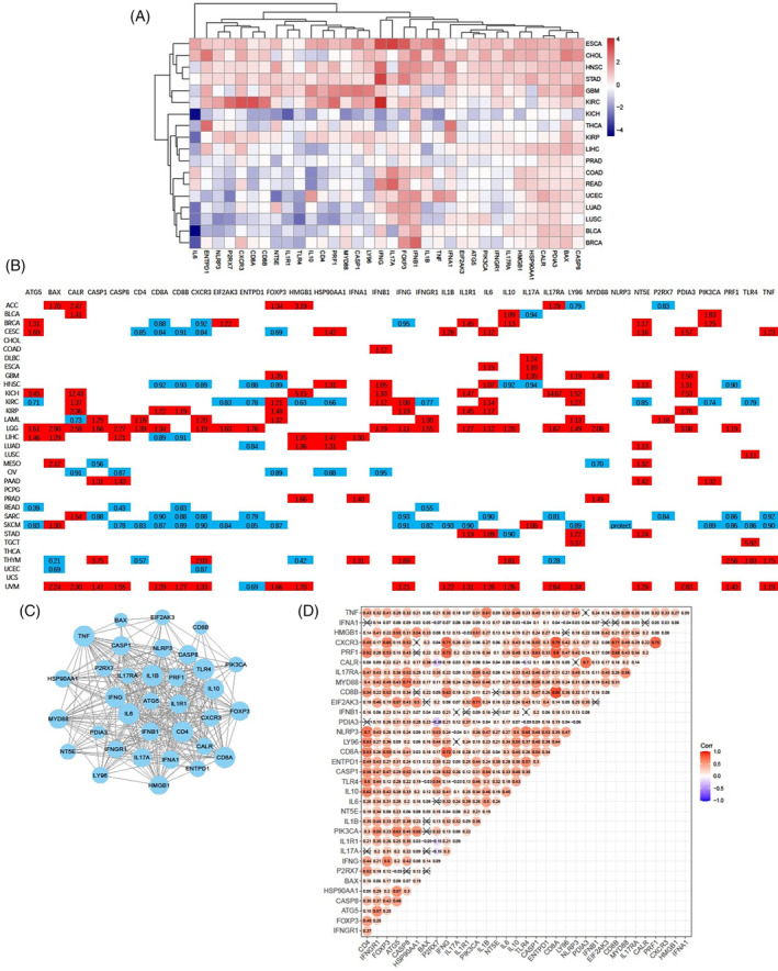 PMC11021686 – cnr22073-fig-0001