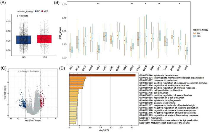 PMC11021686 – cnr22073-fig-0007